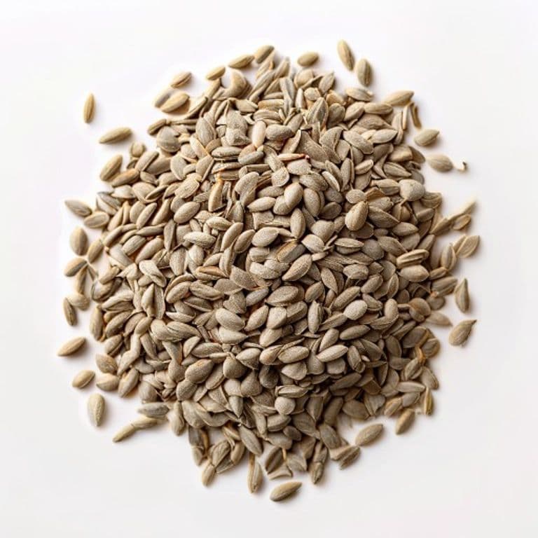 سورج مکھی کے بیج (چھلے ہوئے)