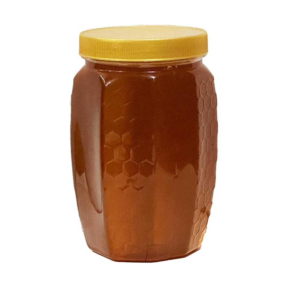 شہد بڑی مکھی