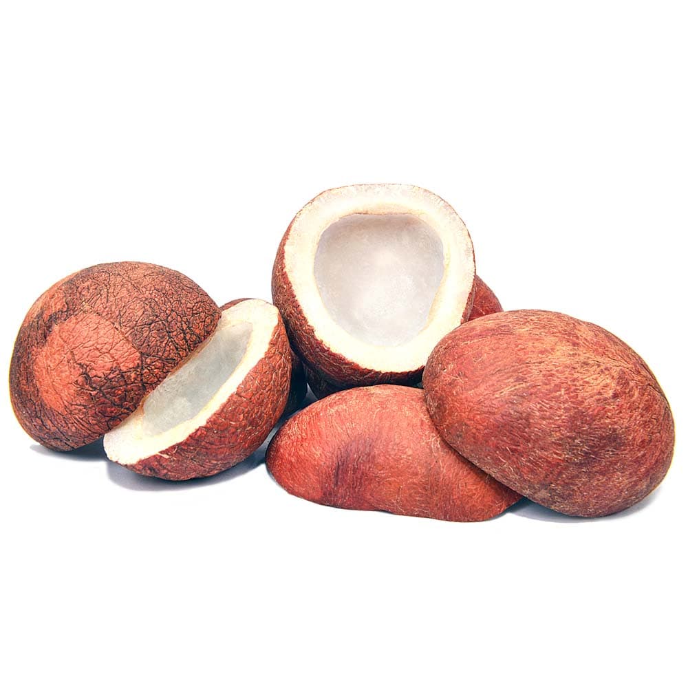 کھوپرا گری کچلی