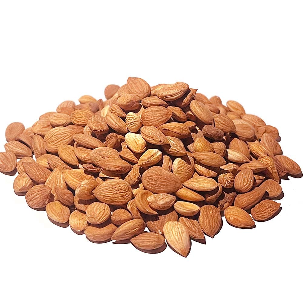 خستہ (خوبانی کے مغز)
