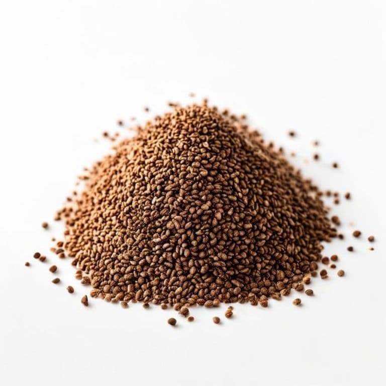 زیرہ (ثابت)