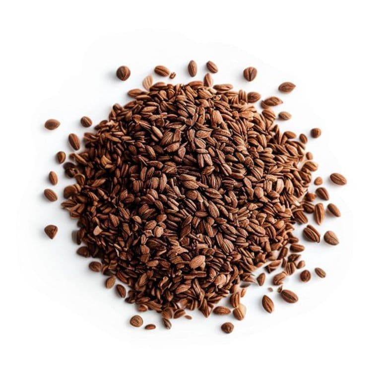 اجوائن